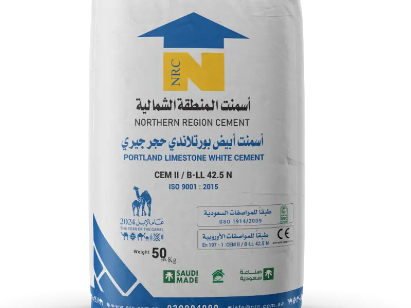 Ordinary Portland cement (Grey)